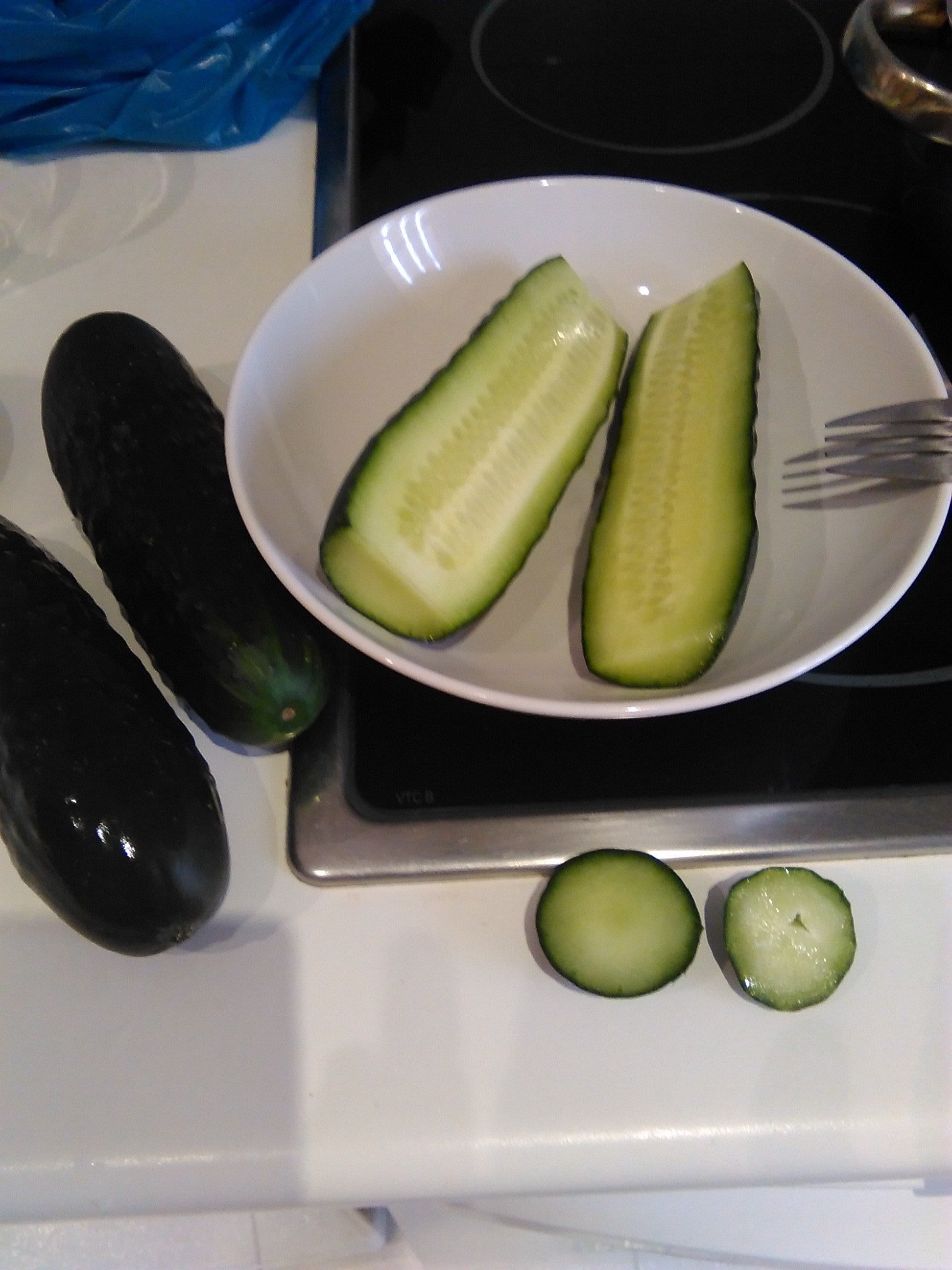 Cómo fermentar pepinos | Mundo Bacteriano