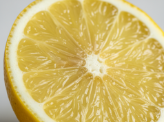 Acidez y alcalinidad en el cuerpo. Varias cuestiones.